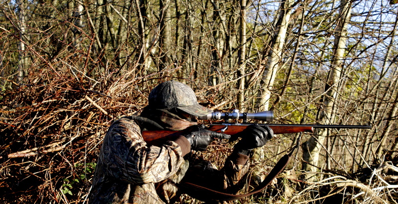 plant, hunter, day, field, holding, concentration, real people, weapon, outdoors, gun, one person, aiming, government, shooting a weapon, rifle, woodland