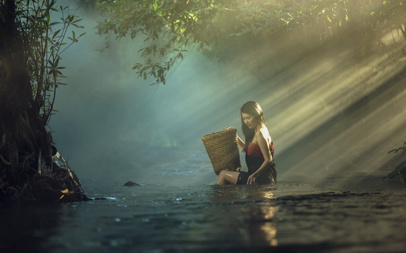 wet clothing, tree, nature, forest, 720P, water, brunette, long hair, lake, fog, one person, baskets, outdoors, sitting, lifestyles, plant, land, Asian