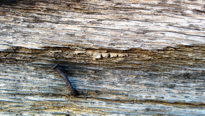 nail, wood, pattern, timber, vintage, renovation, close-up, backgrounds, lumber, texture, floor, plant bark, nature, rough, natural pattern, 2K, no people