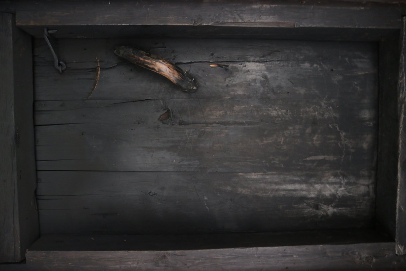 architecture, sauna, rantatie 37, finland, black, animal wildlife, vertebrate, built structure, still life, savu, abandoned, animal, smoke, no people, savusauna