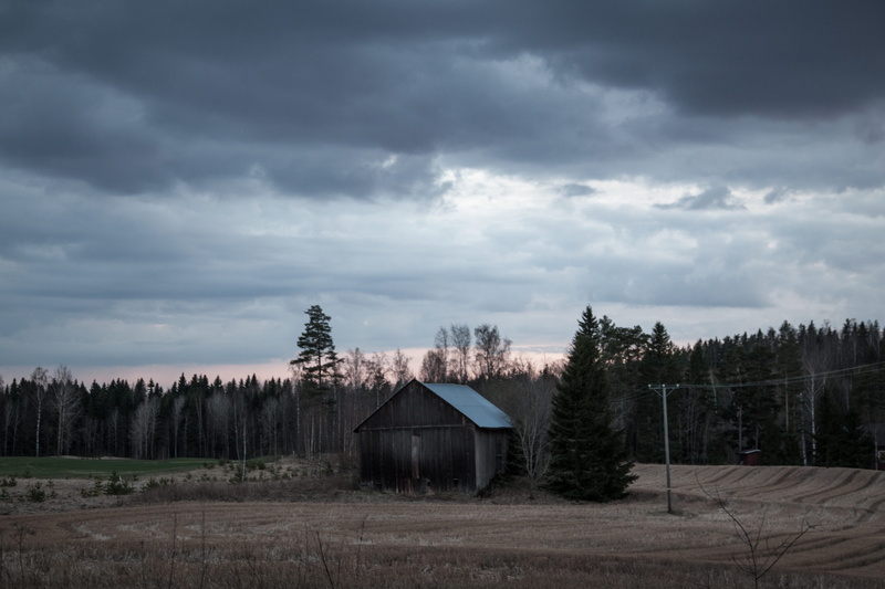 natural, tree, house, fall season, scene, land, dark, finland, hovel, nature, built structure, plant, tale, building, dreams, old, cabin, outdoor, no people
