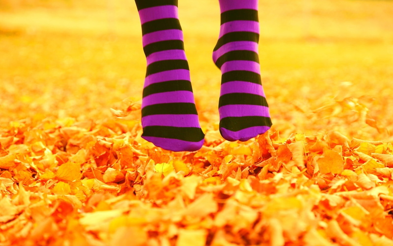 striped, lifestyles, nature, body part, feet, standing, orange Color, socks, plant part, black, fashion, s, limb, autumn, yellow, change, red, sock, women