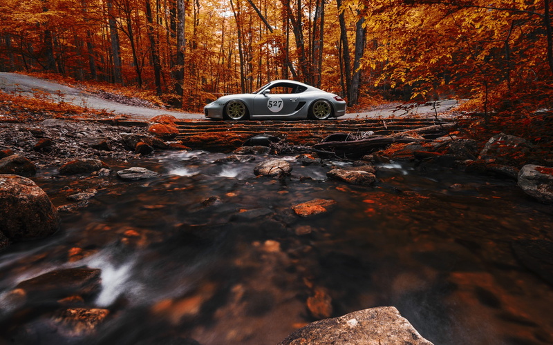 orange color, trees, change, coupe, leaves, nature, sports car, outdoors, rock, motion, mode of transportation, 2K, car, woodland, Porsche, gray, fall