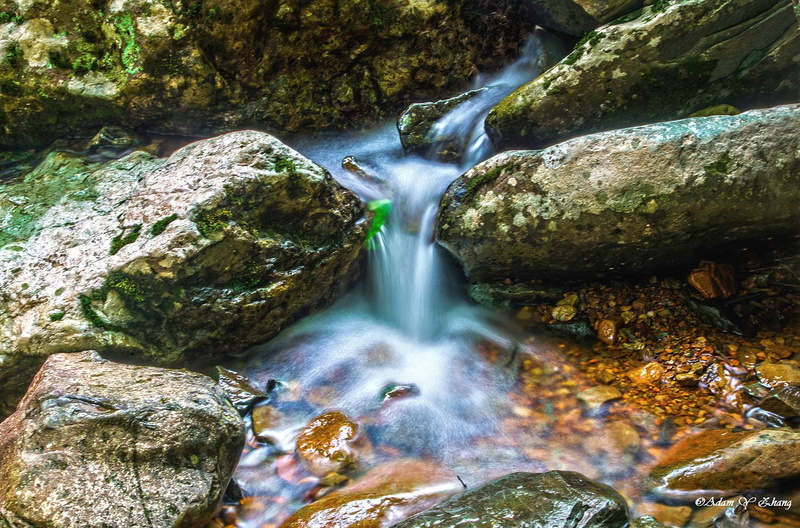 Macro, Central  Florida, Fun, Wildlife, Orlando, Nice, nature, Wide-Angle, Close-Up, Nikon  DSLR, gorgeous, colorful, photography, 美丽, flowing, scenics