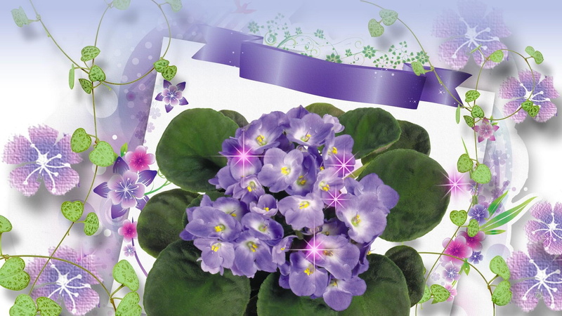 ribbon, 3d and abstract, violets, purple, spring, abstract, 1080P, flowers, summer