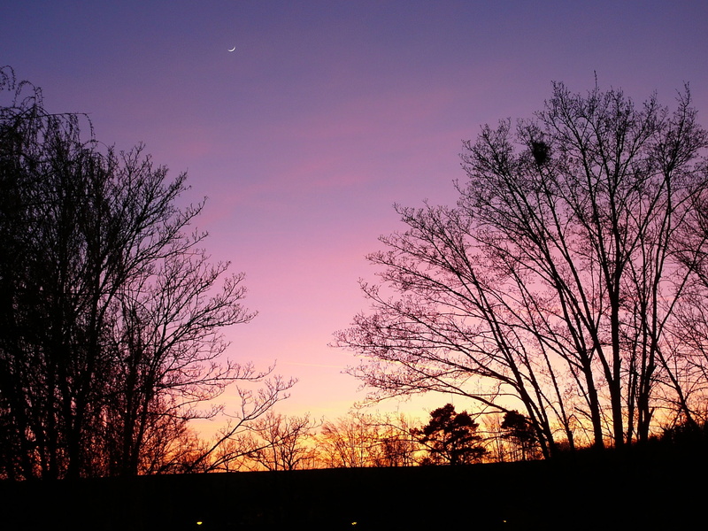 dark, cloud - sky, growth, dramatic sky, orange color, romantic sky, sunset, purple, idyllic, pink, beauty in nature, tree, 2K, branch, trees, sky, bare tree