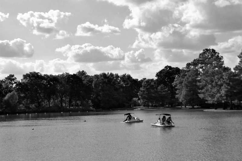 summer, black, boating, black and white, transportation, tourism, park, transpiration, environment, ride, forest, holiday, lake, boat ride, tourist, nature