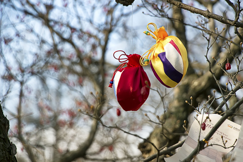 freshness, branch, day, christmas decoration, no people, korean folk village, pouches, hope, flower, yellow, saekdong, celebration, two, nature, christmas ornament