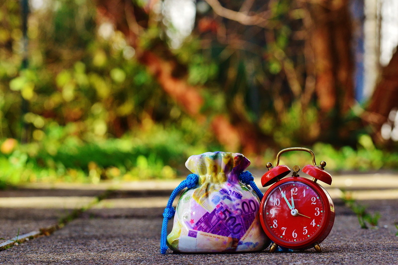 close-up, focus on foreground, footpath, dial, transportation, pointer, red, money bag, alarm clock, near, day, hours, container, clock, plant, no people