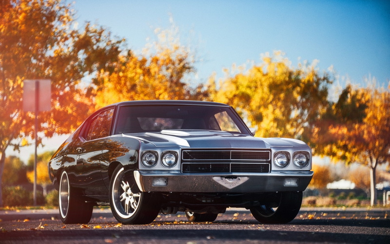 trees, Chevelle SS, road, car, 1080P
