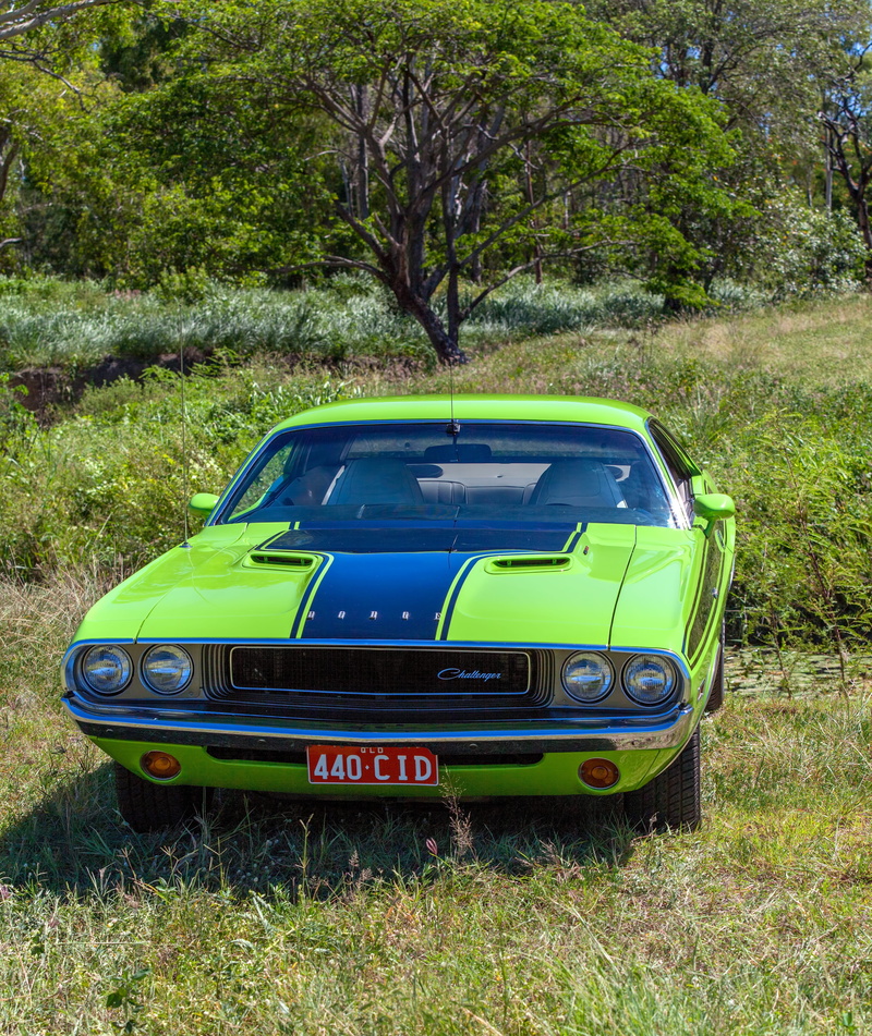 mode of transportation, plant, left hand drive, car, western script, field, land, land vehicle, transportation system, outdoors, nature, tree, no people