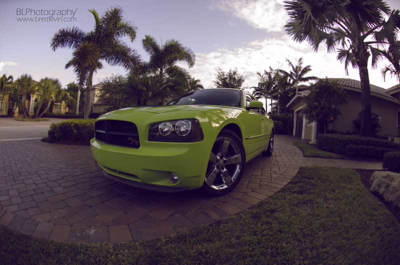 growth, 4K, architecture, luxury, land vehicle, day, tree, outdoors, tropical climate, city, dodge charger daytona, green, mode of transportation, plant