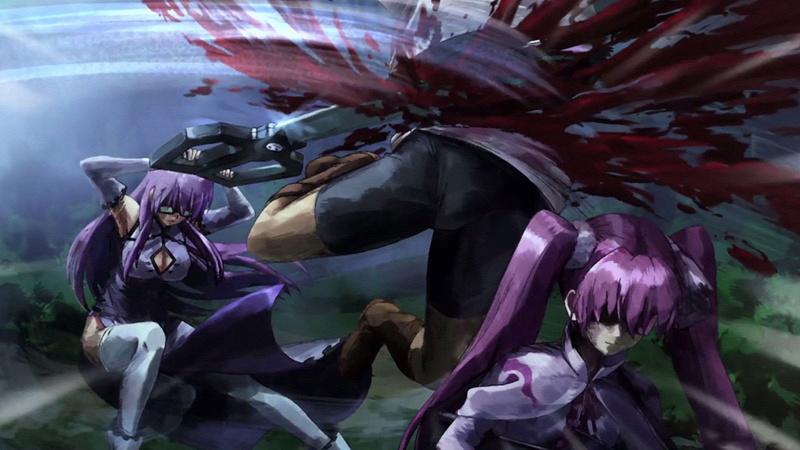 Mine (Akame Ga Kill!), day, Akame ga Kill!, art and craft, fragility, flower, growth, representation, celebration, 1080P, freshness, nature, pink color