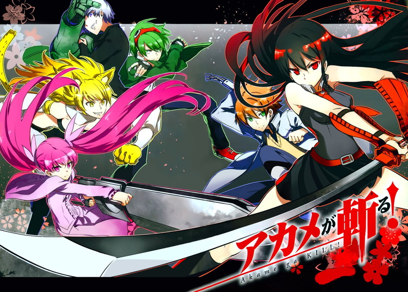 multi colored, day, Akame ga Kill!, backgrounds, close-up, Leone (Akame Ga Kill!), retail, variation, Najenda (Akame Ga Kill!), Tatsumi (Akame Ga Kill!)