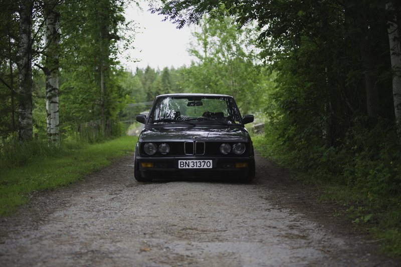 Squatty, motor vehicle, the way forward, 5K, growth, day, direction, green color, text, mode of transportation, plant, tree, car, nature, number, transportation