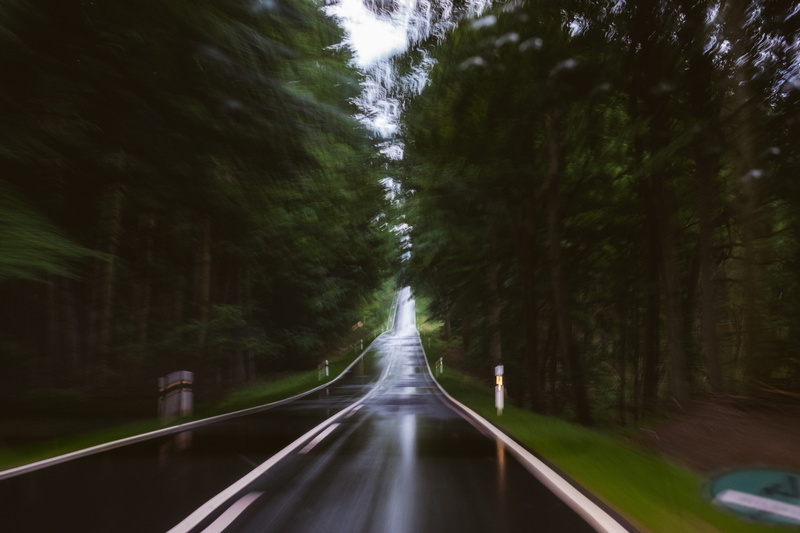 driving, lights, nature, mode of transportation, car, blurred, tree, white, speed, day, moving, road, forest, growth, dark, straight, motion, lines, vanishing point