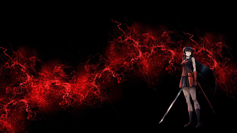 anime, anime girls, 1080P, Akame ga Kill!