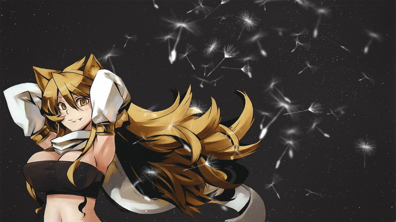 mask, Fangs, mask - disguise, brown, arts culture and entertainment, Smile, Scarf, still life, no people, Akame ga Kill!, girl, bizarre, disguise, representation