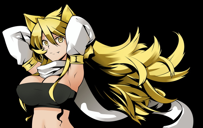 Akame ga Kill!, Anime, 1080P, Leone (Akame Ga Kill!)