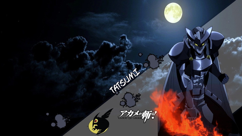 1080P, Akame ga Kill!, flowering plant, celebration, stage, night, communication, fire, event, indoors, smoke - physical structure, black background, burning