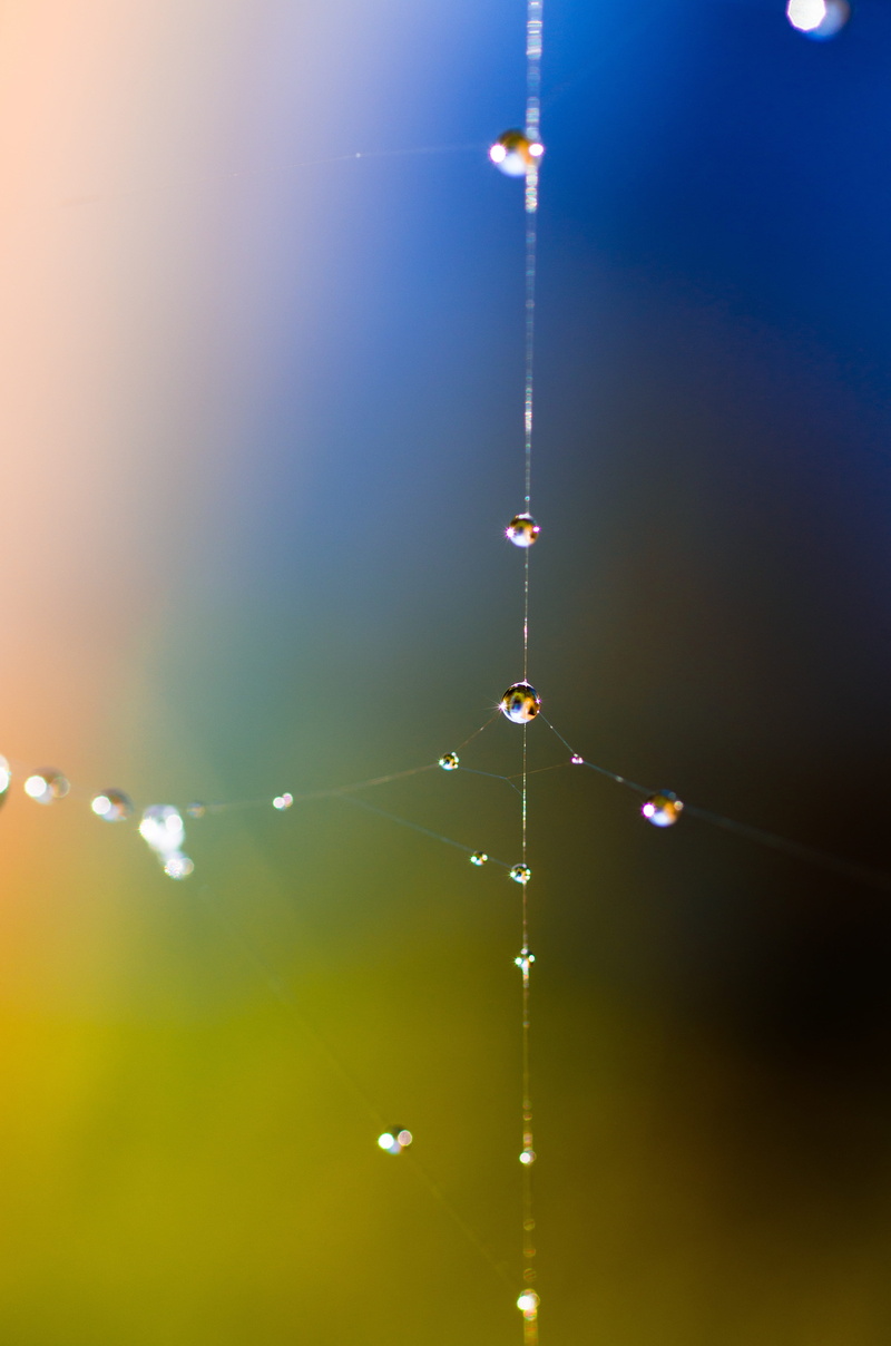 droplets, nature, outdoors, sky, drop, drip, macro, wet, 4K, lighting equipment, close, cobweb, macro photography, drop of water, low angle view, water