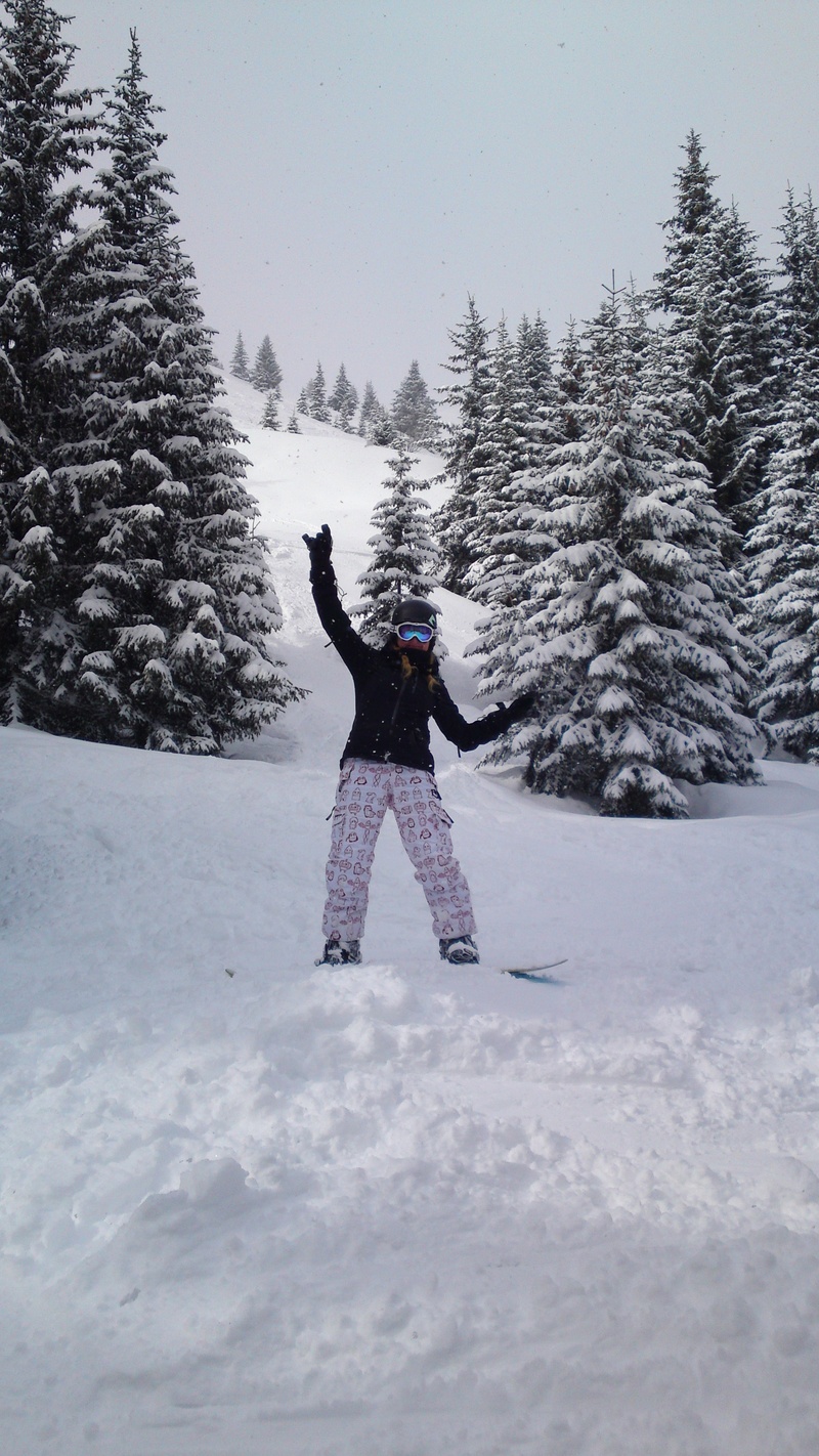 snowboard, nature, snow, land, riding, deep snow, mountains, one person, covering, snowboarding, dream day, field, real people, new zealand, forest, limb