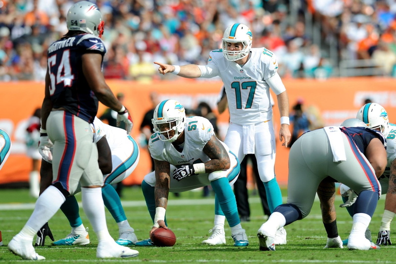 sport, group of people, miami dolphins screensavers and backgrounds, protection, sportsman, american football field, helmet, 1080P, athlete, ball, sports helmet