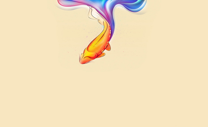 close-up, no people, Aero, orange color, Fish, goldfish, copy space, illustratin, creativity, indoors, colored background, Vector Art, purple, yellow, underwater