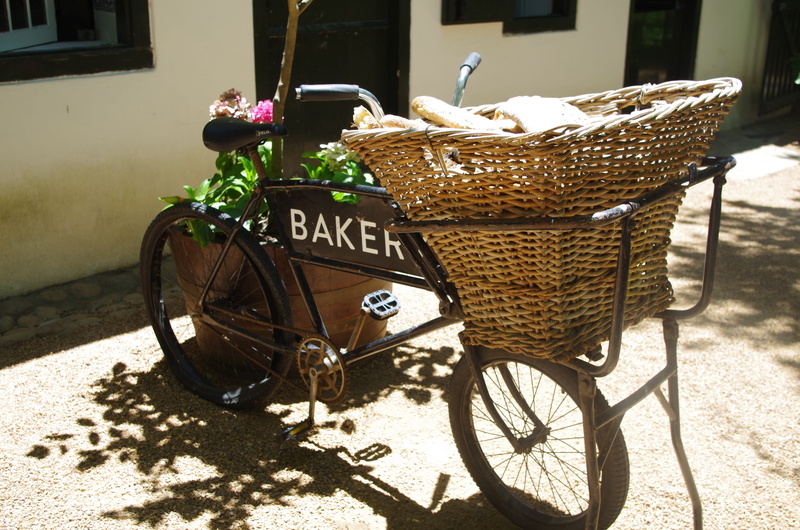 flower, wheel, mode of transportation, old, grocer, nature, bicycle, baker, bicycle basket, Bicycle, mode of transport, plant, sunlight, outdoors, container