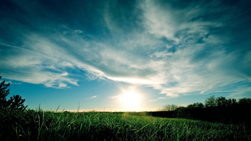 scenics - nature, 4K, tranquil scene, grass, no people, sunlight, land, bright, field, sun, nature, cloud - sky, agriculture, blue sky, sky, outdoors