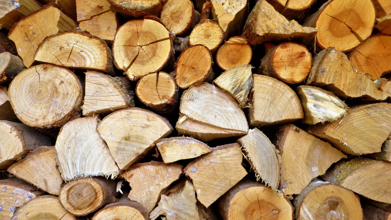 4K, lot, firewood, woodpile, wood - material, energy, chopped, lumber industry, resource, heap, large group of objects, full frame, tree ring, deforestation