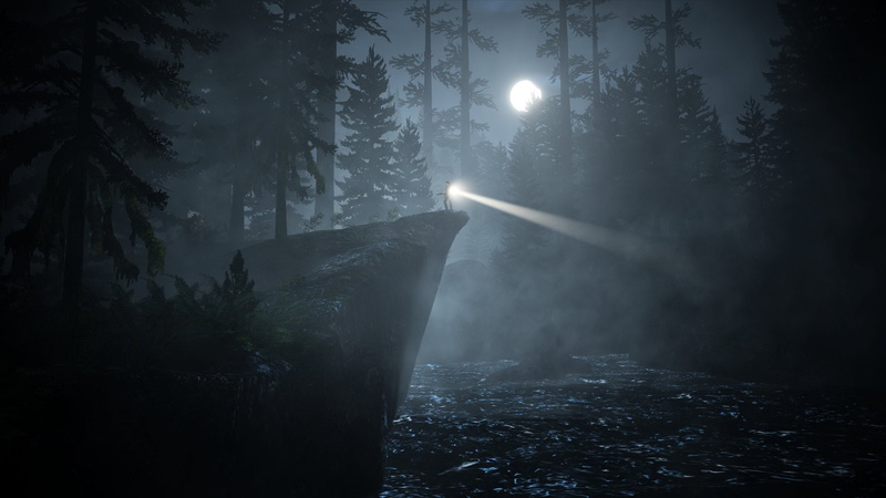 Video Game, plant, night, horror, snowing, forest, 1080P, nature, fog, back lit, outdoors, illuminated, Alan Wake, dark, spooky, tree, lens flare, land