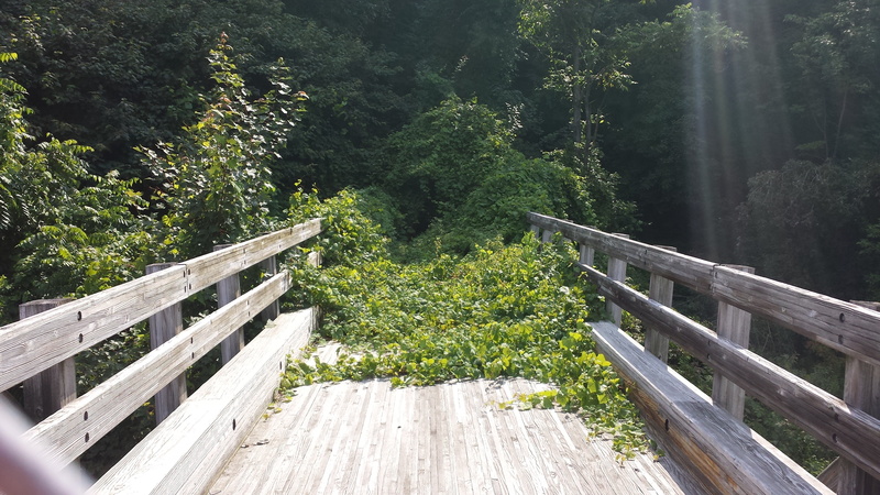 nowhere, mountain, nature, outdoors, land, footbridge, day, wooden, green color, forest, 4K, tranquil scene, architecture, plant, connection, wood, tranquility