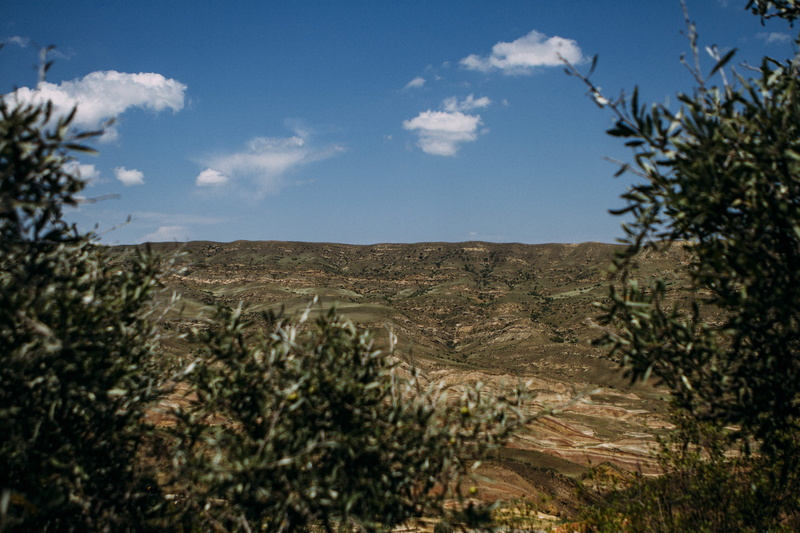 no people, sky, georgia, tranquil scene, semi-arid, nowhere, plant, tree, outdoors, land, solitude, beauty in nature, sand, olive, arid climate, beautiful