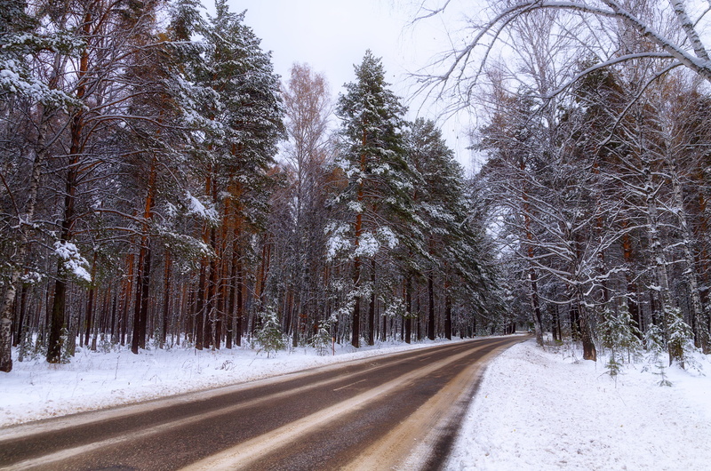 beauty in nature, trees, transportation, road to nowhere, Road, pine, no people, 4K, scenics - nature, tranquility, Winter Road, nature, direction, snow winter nature