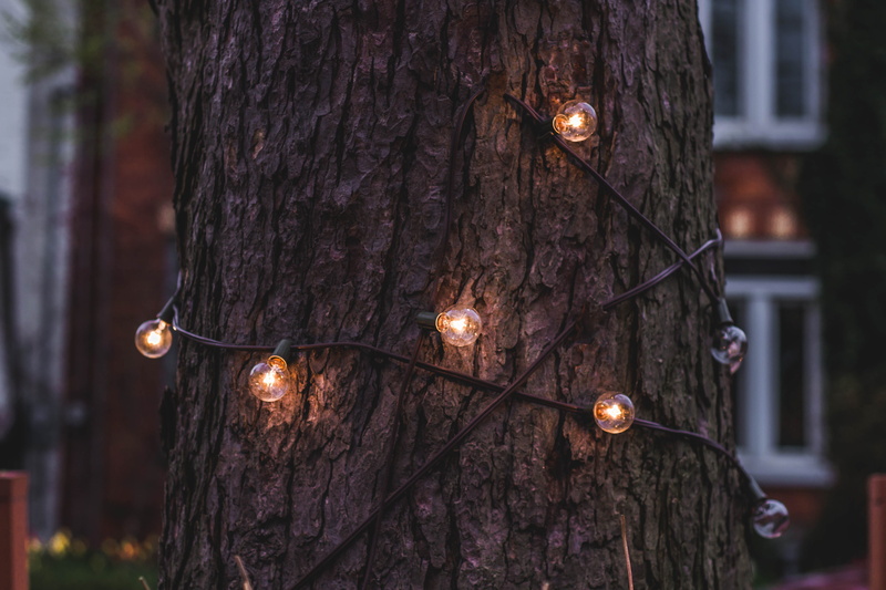 day, light, outdoors, string, lights, city, no people, in a row, lantern, close-up, around, night, cable, lighting Equipment, electricity, tree trunk, electric Lamp