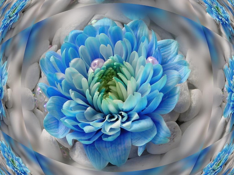 digital, art, abstract, fractal, cg, hd, flower, d, bubble, digital art, blue, 480P