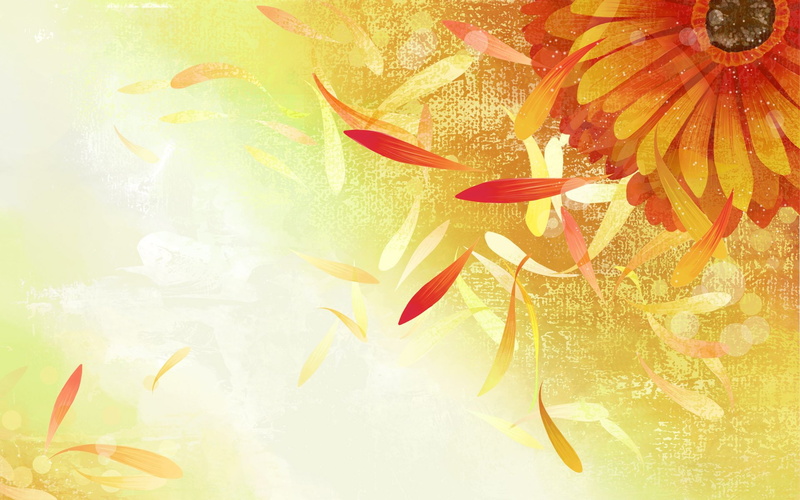 Vector, 1920x1200 px, art, Abstract, freshness, hd, marine, Flowers, animal wildlife, no people, beauty in nature, px, flower, water, orange color, sea