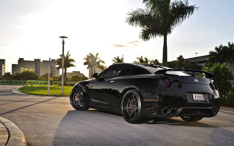 natural, palm, nissan, trees, cars, spec v, angle, gt r, lighting, view, 2K, r35, gtr, black, rear
