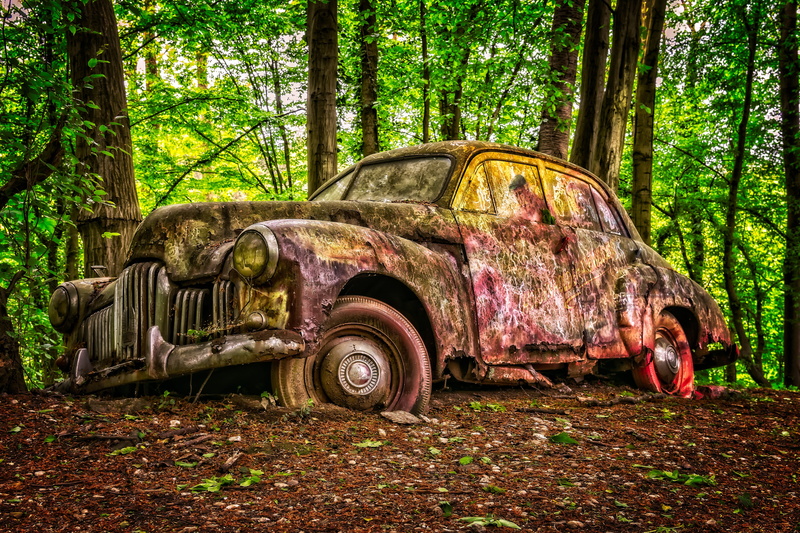 abandoned, sedan, cars, forget, transportation, classic, forest, deterioration, land vehicle, vehicle, past, bad condition, run-down, car cemetery, tree