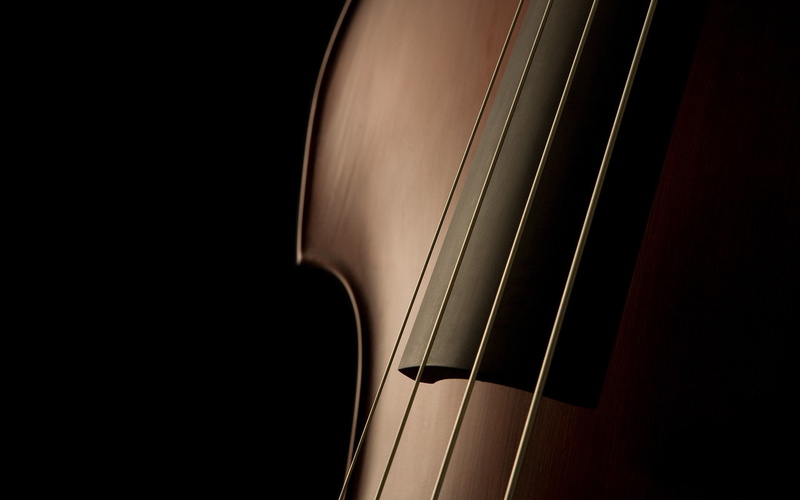 2560x1600 px, 2K, video, art, games, hd, x, conan, age, px, Contrabass