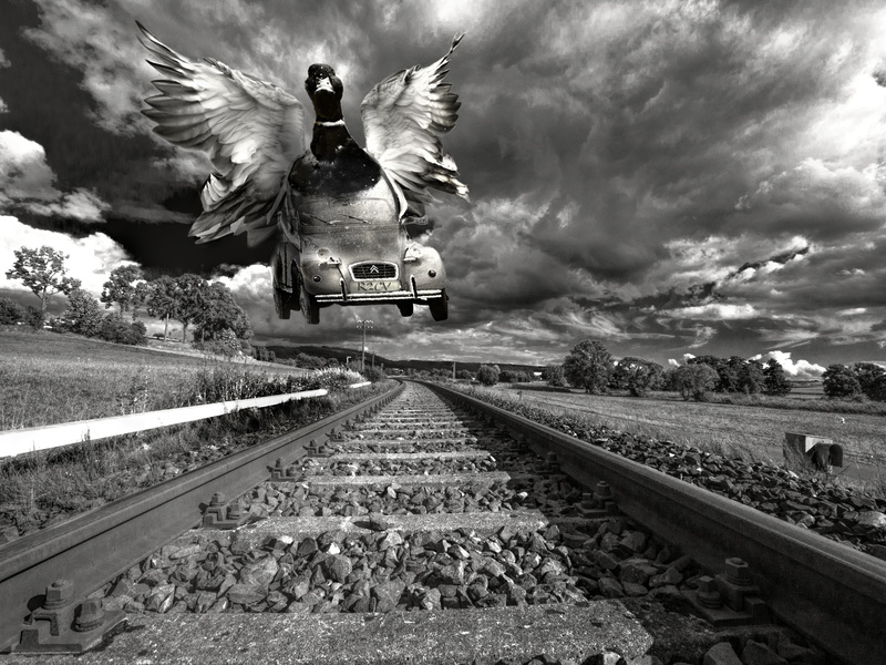 city car, historically, classic, clouds, 2cv, nature, bird, transportation, flying 2cv, outdoors, citroen, vanishing point, old car, animal, black and white