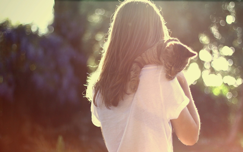1080P, sunlight, women outdoors, DS, cat, women, animals