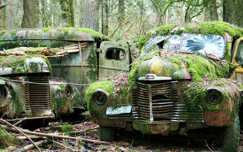 hd, 720P, overgrowth, deserted, rust, urban, decay, cars, abandon