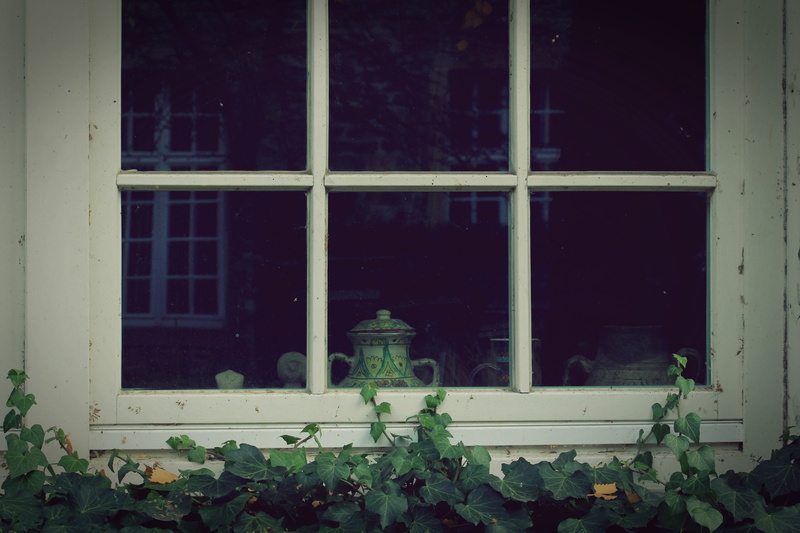 green, climber, glass, plant part, no people, plant, fouling, old building, romantic, house, architecture, outdoors, overgrown, wooden, home, wooden windows