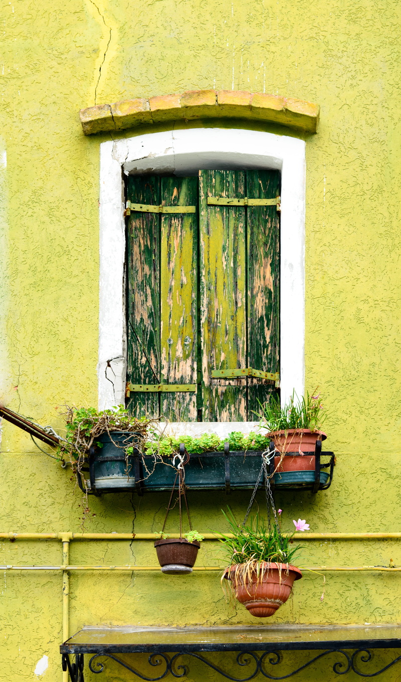 residential district, 5K, building exterior, window, window box, home, day, growth, architecture, shutters, black, outdoors, green window, yellow, potted plant