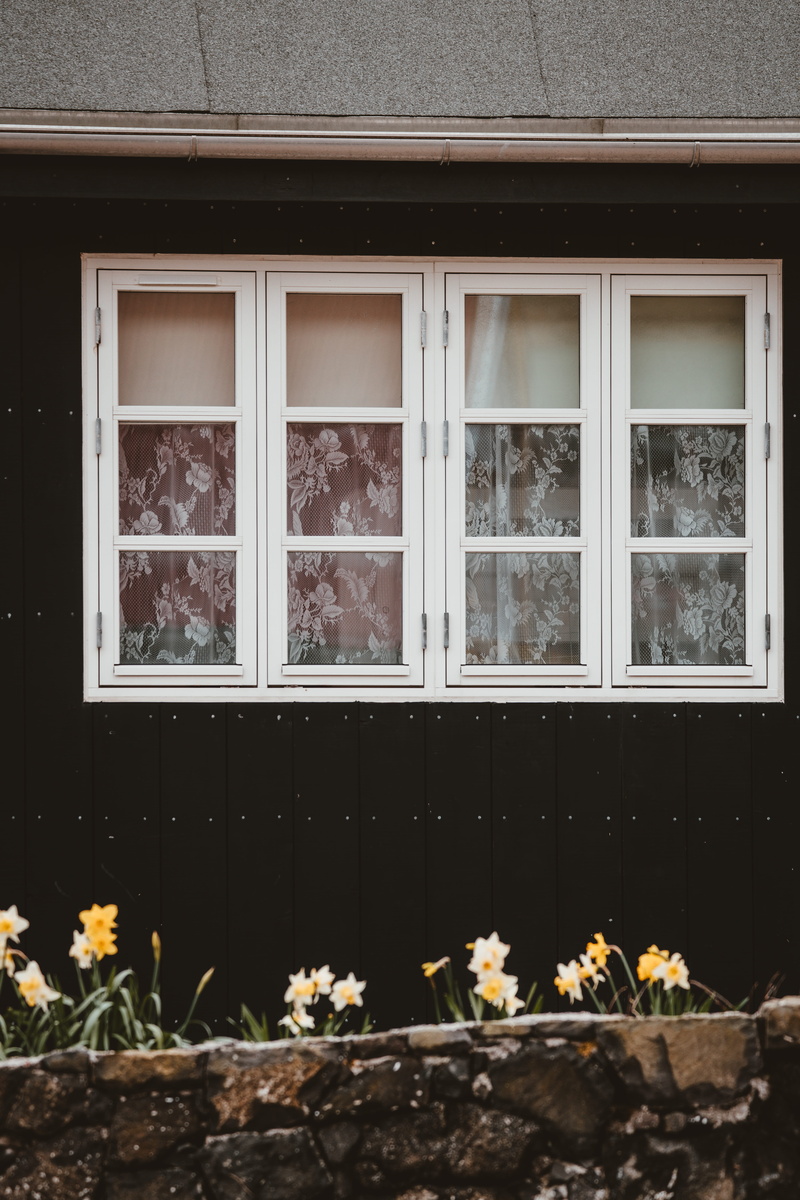 flowers, potted plant, growth, 5K, house, glass - material, building exterior, window sill, remote, white, nordic, plant, glass, transparent, residential district