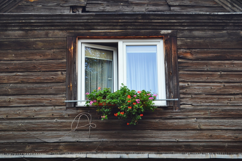 closed, half, wood - material, pot, petaled, wall, nature, wood, built structure, framed, architecture, door, residential district, window frame, day, wall - building feature
