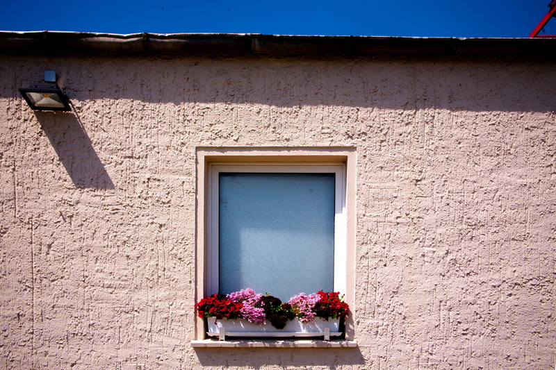 growth, sun, sunlight, window, shutter, framed, photography, building, flowering plant, house, built Structure, architecture And Buildings, white, brown