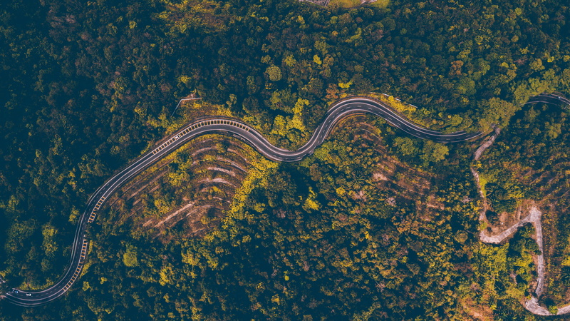 environment, 4K, trees, s, aerial, nature, road, eye, growth, aerial view, no people, tree, highway, winding, tranquility, transportation, day, daytime